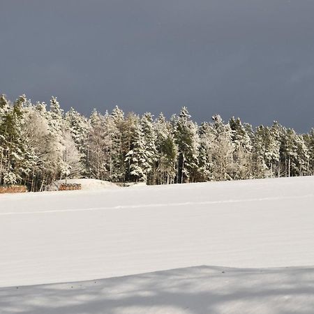 Villa Rosa Pfreimd Exteriér fotografie